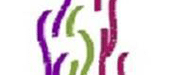 Pesso Boyden UK logo